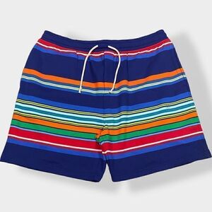 Polo Ralph Lauren Voyager Mens Blue Multi Stripe Fleece Lined Shorts size XXL